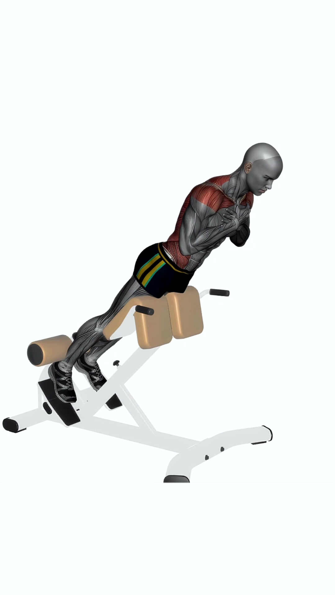 Back Extension Machine