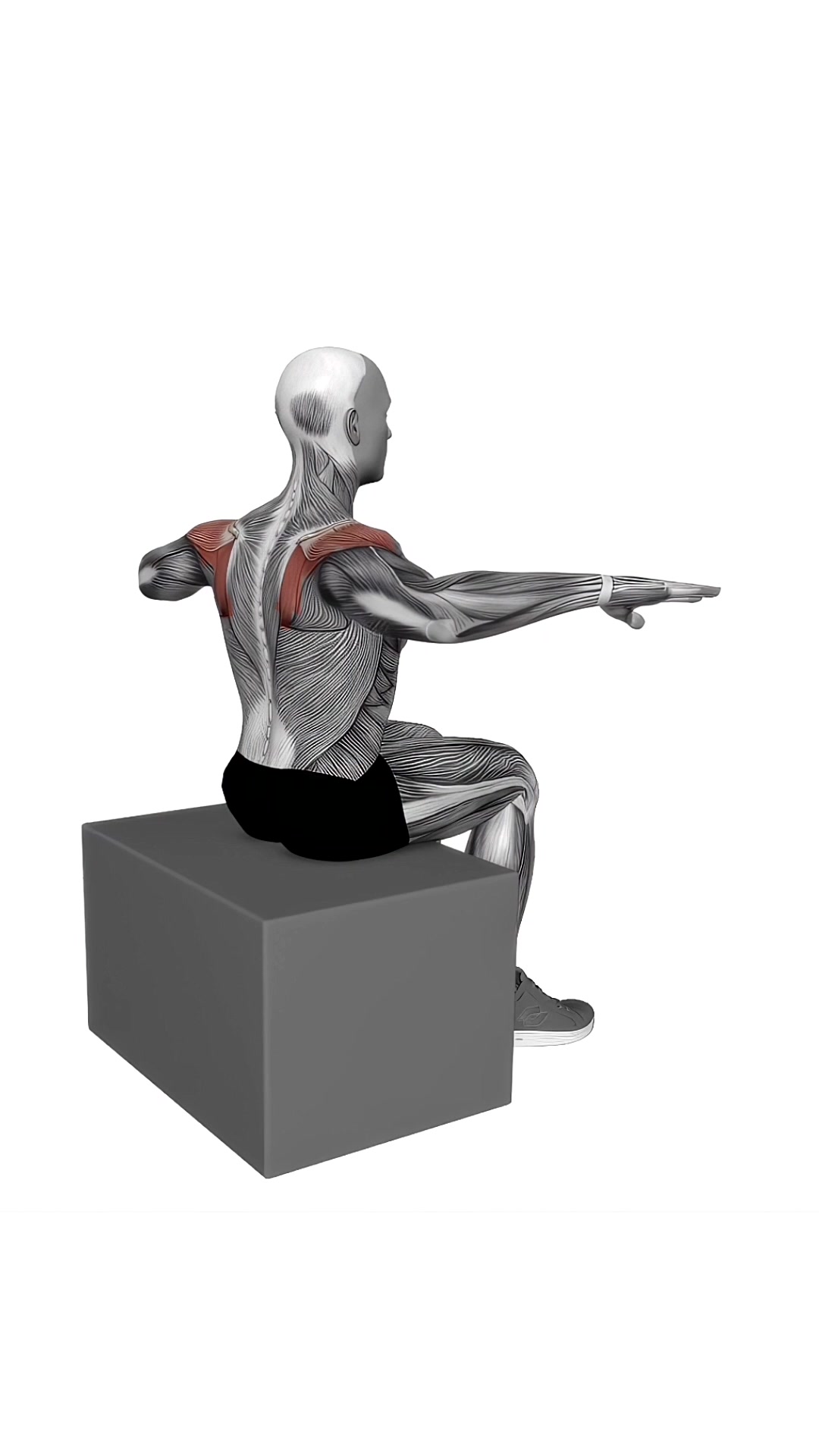 Back Squeeze