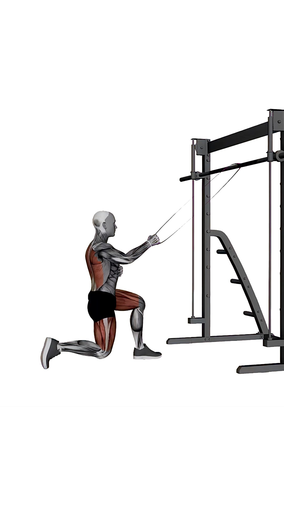 Band Kneeling Single Arm High Row
