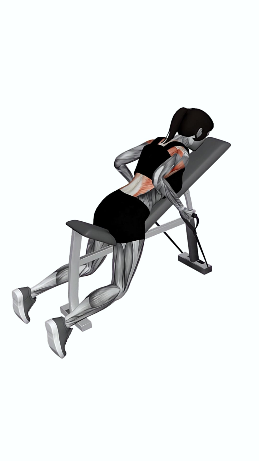 Band Lying Reverse Grip Row