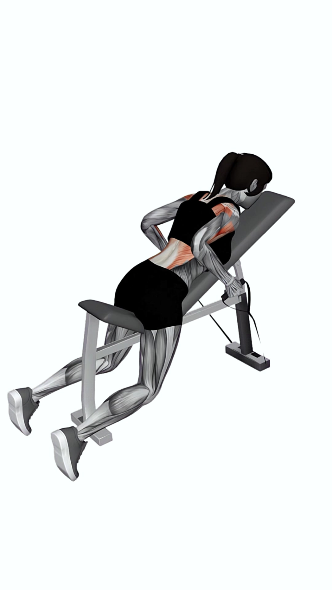 Band Rotating Hammer Grip Incline Bench Row