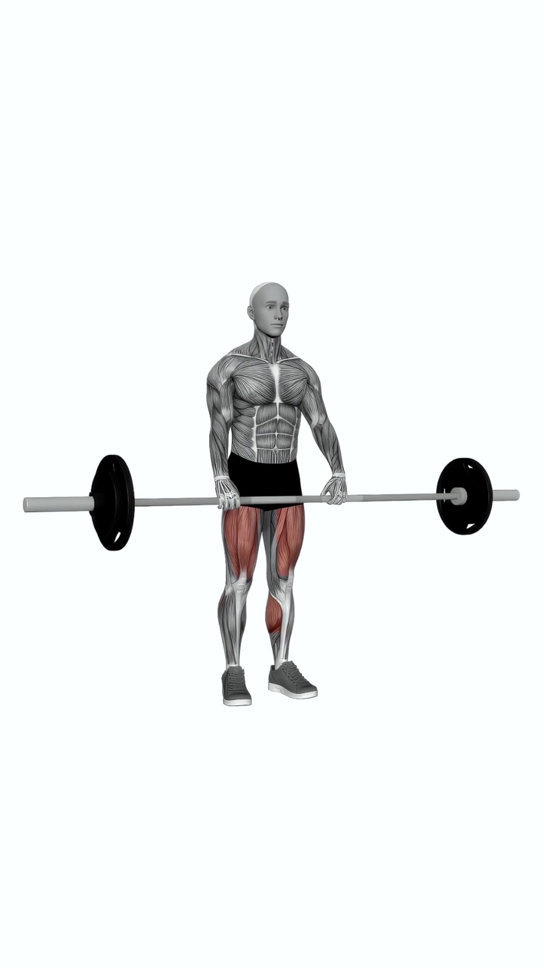 Barbell Clean Deadlift