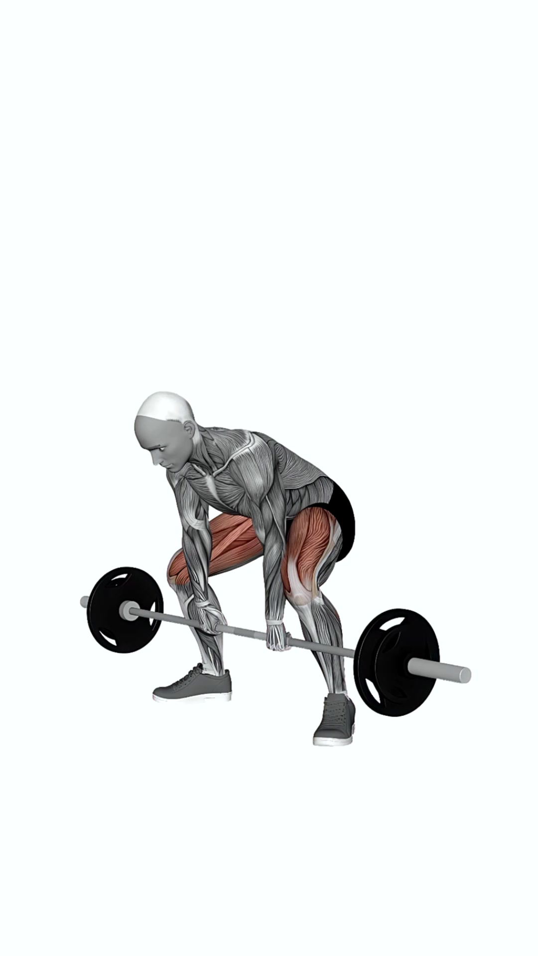 Barbell Coan Deadlift