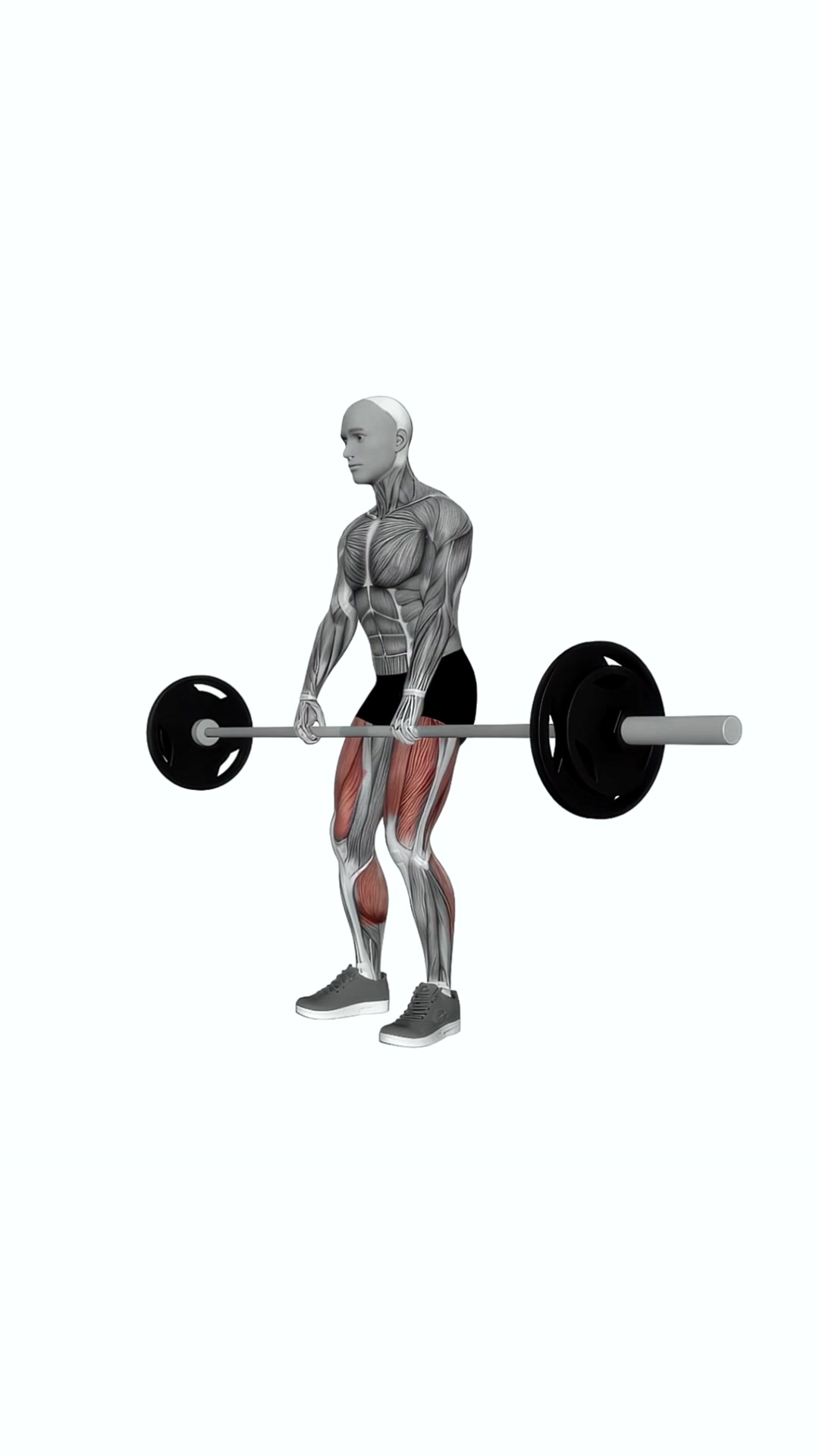 Barbell Deadlift 360 Degrees