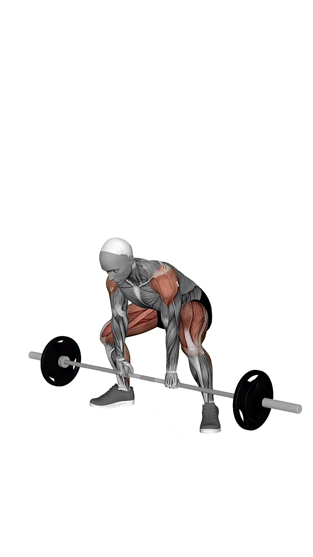 Barbell Deadlift High Pull