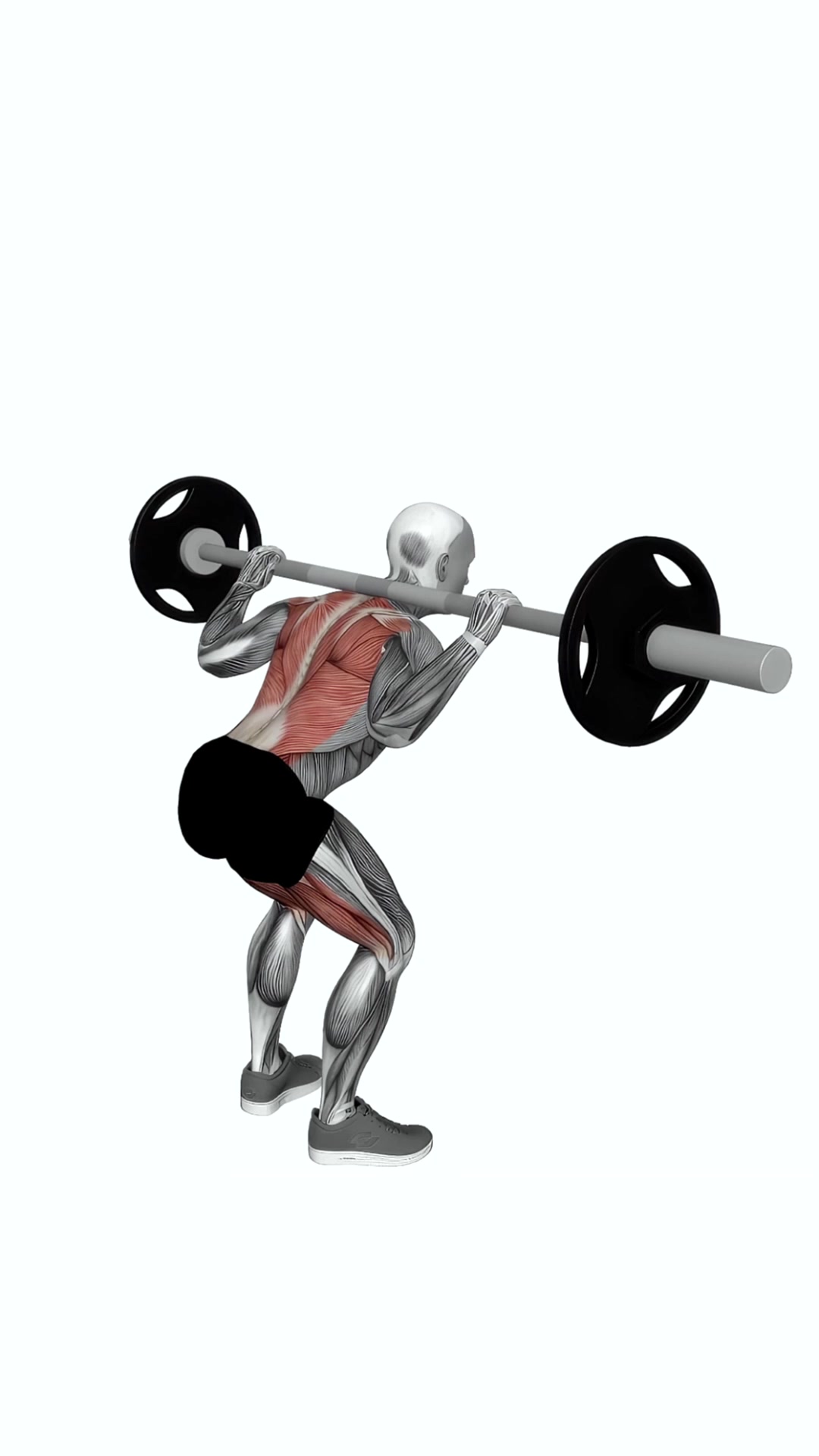 Barbell Good Morning