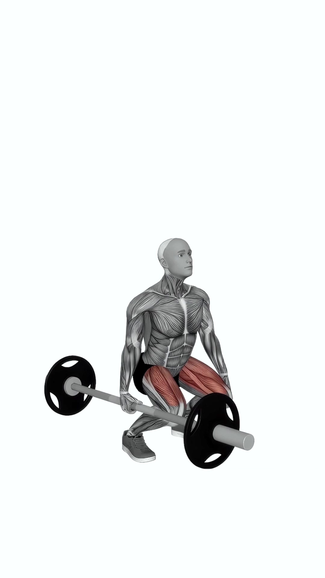Barbell One Arm Single Deadlift