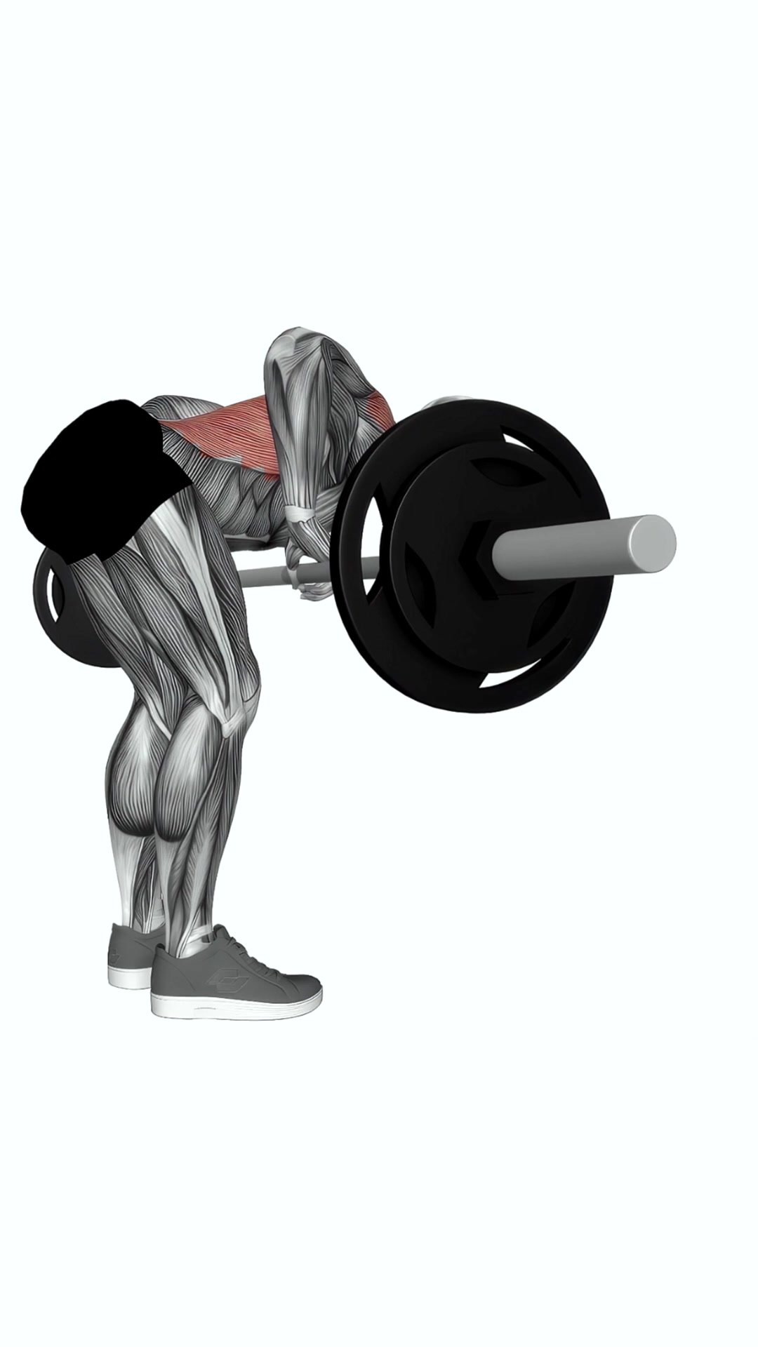 Barbell Push Bent Over Row
