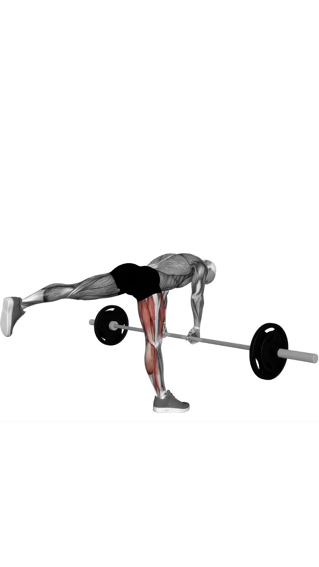 Barbell Single Leg Deadlift