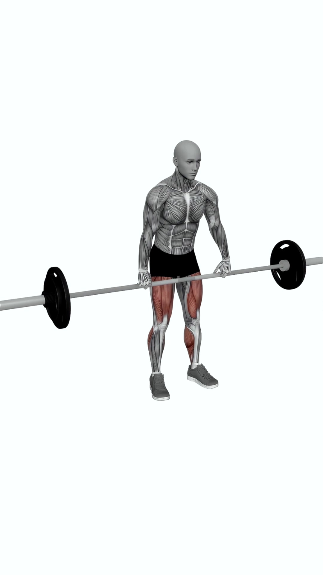 Barbell Snatch Deadlift Close Grip