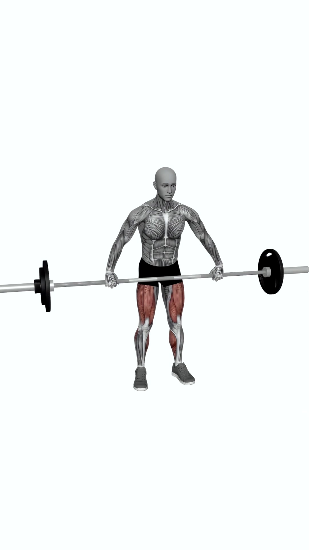 Barbell Snatch Deadlift Wide Grip