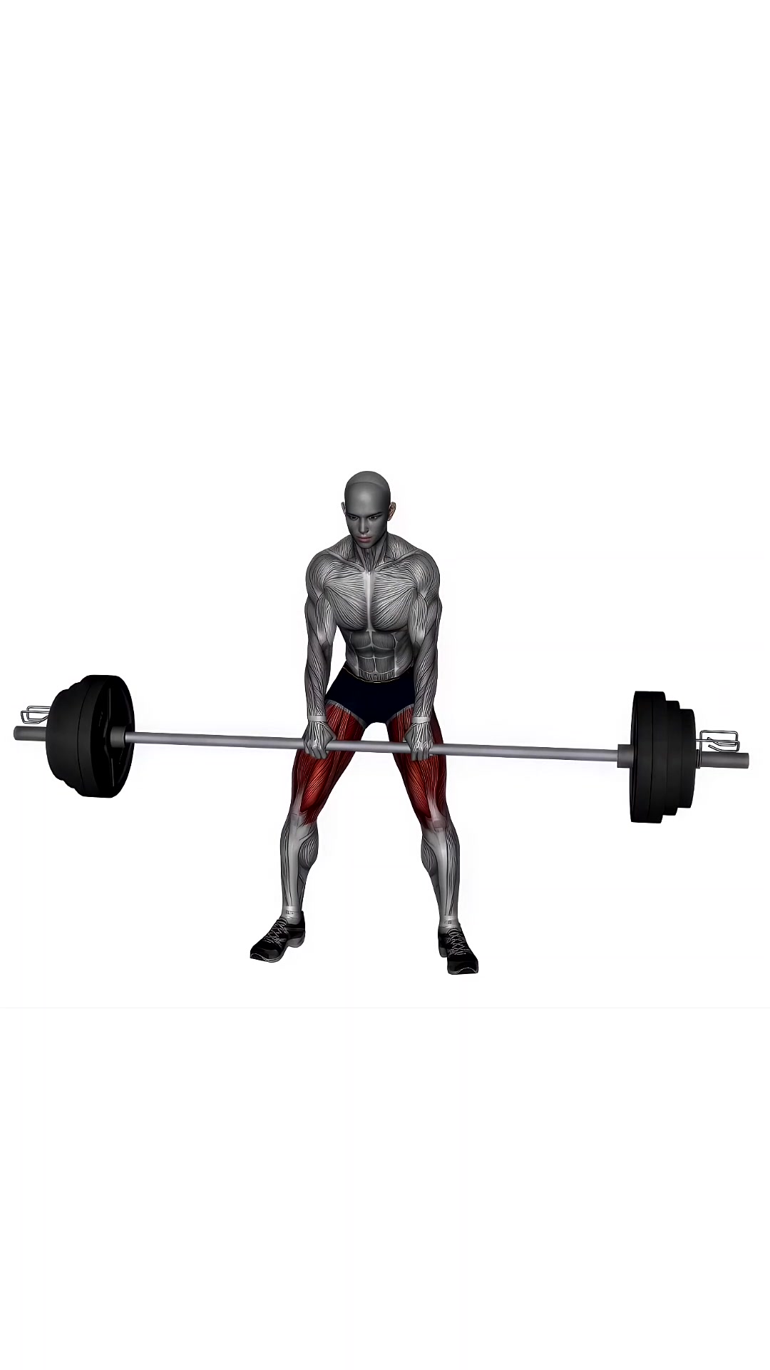 Barbell Sumo Deadlift