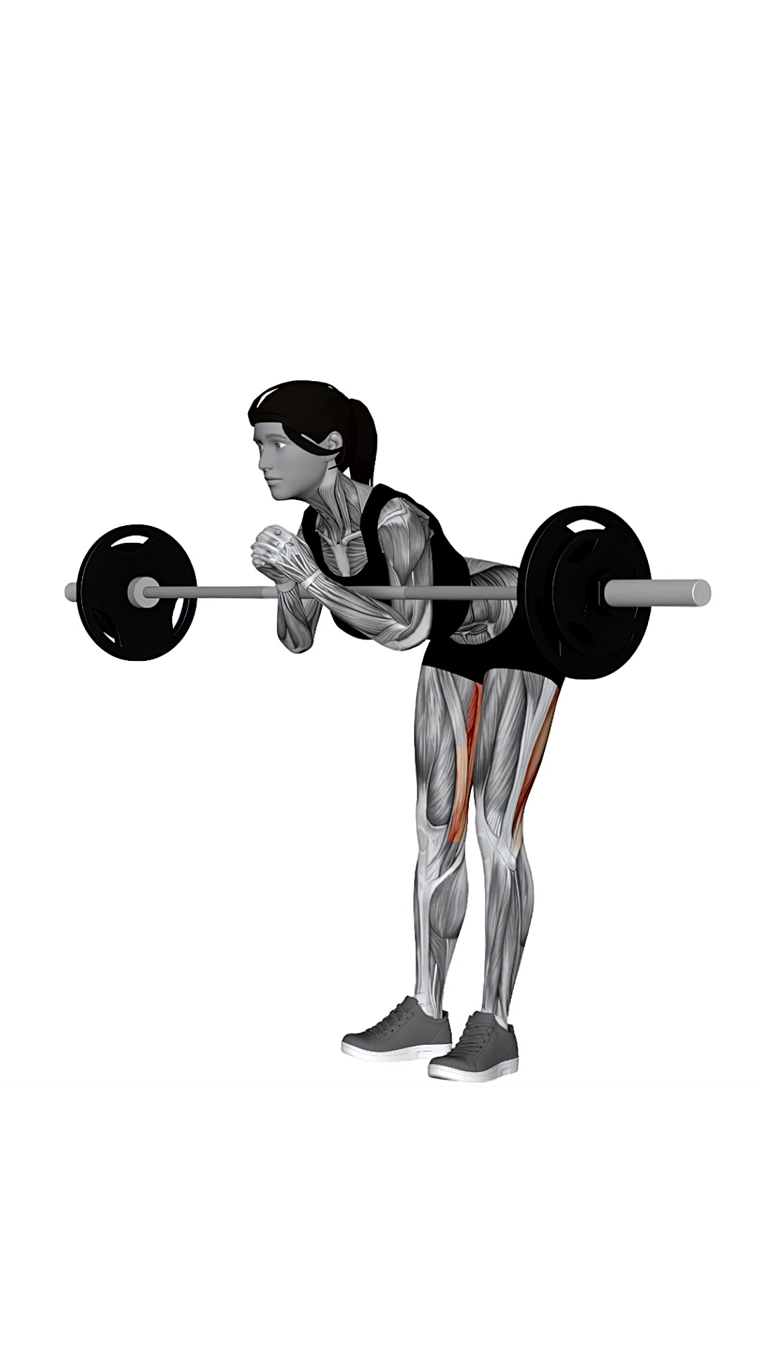 Barbell Zercher Good Morning
