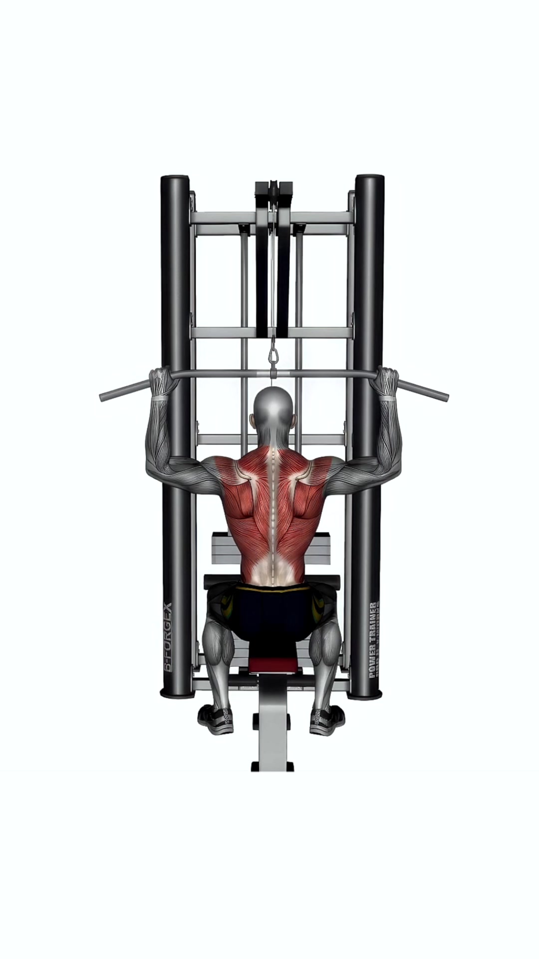 Behind Neck Lat Pull Down Machine