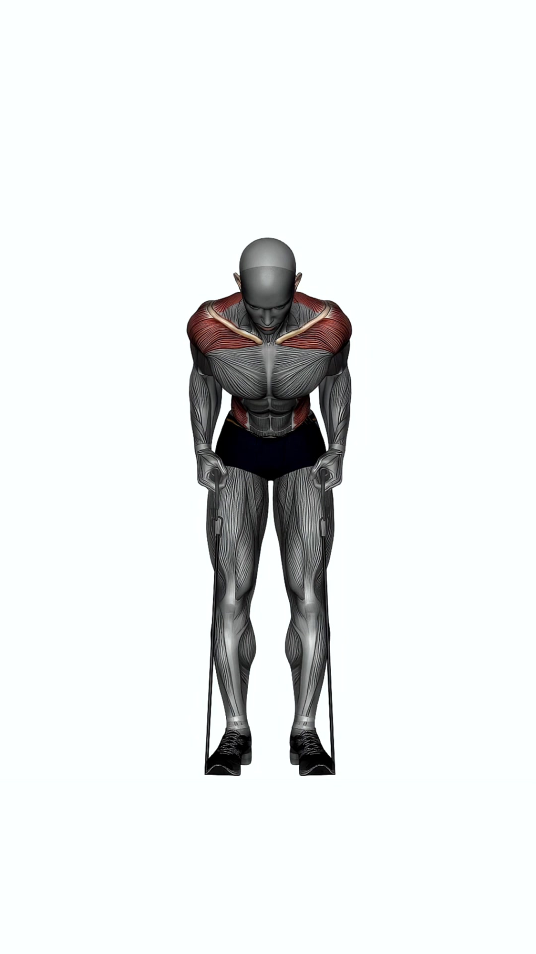 Bent Over Row Resistance Band