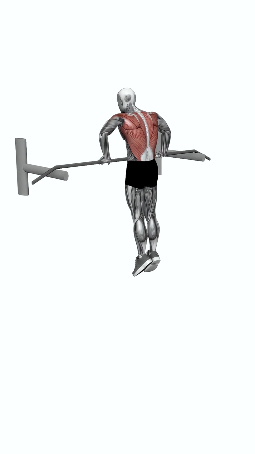Bodyweight Muscle-up