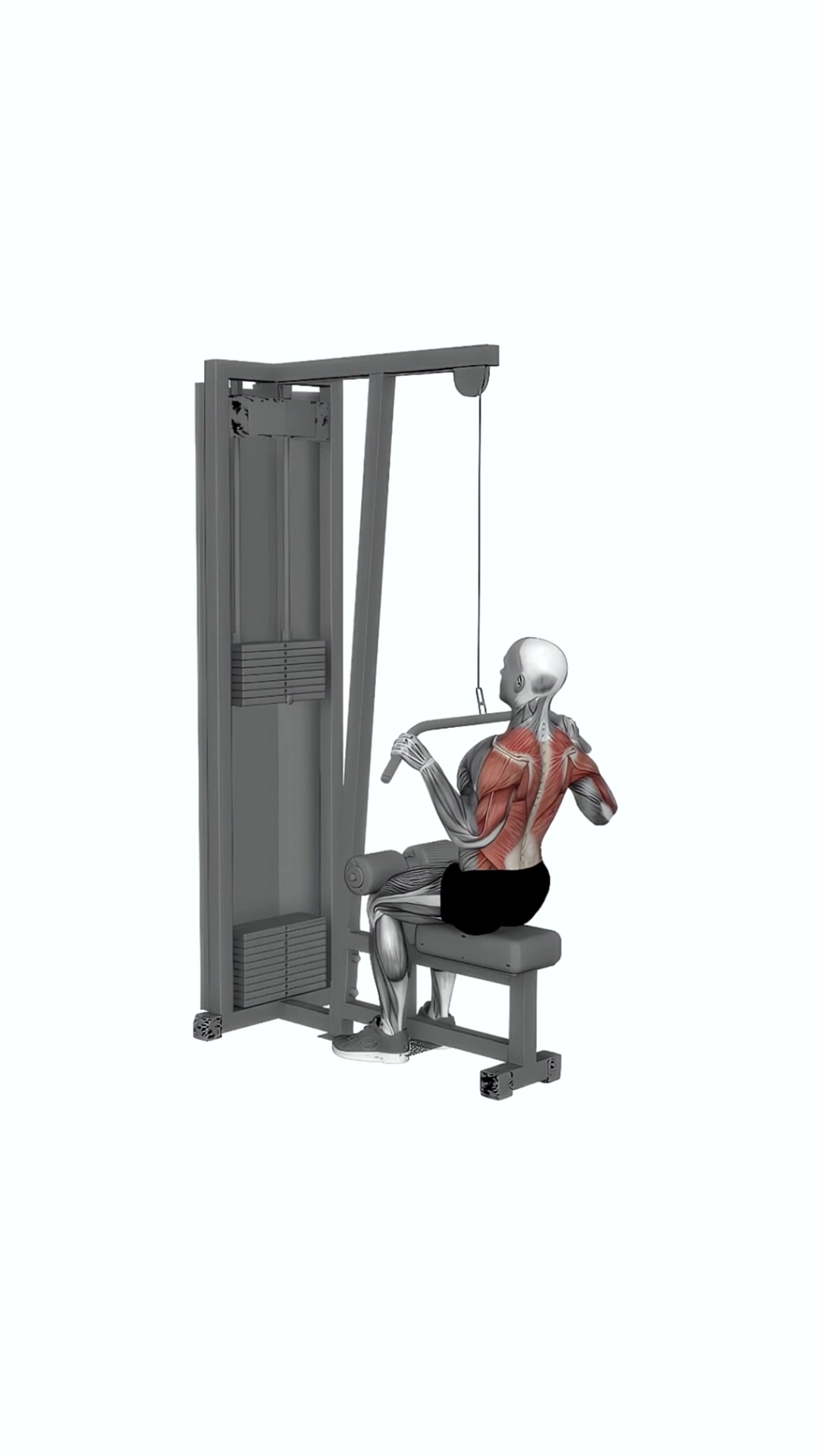 Cable Bar Lateral Pulldown