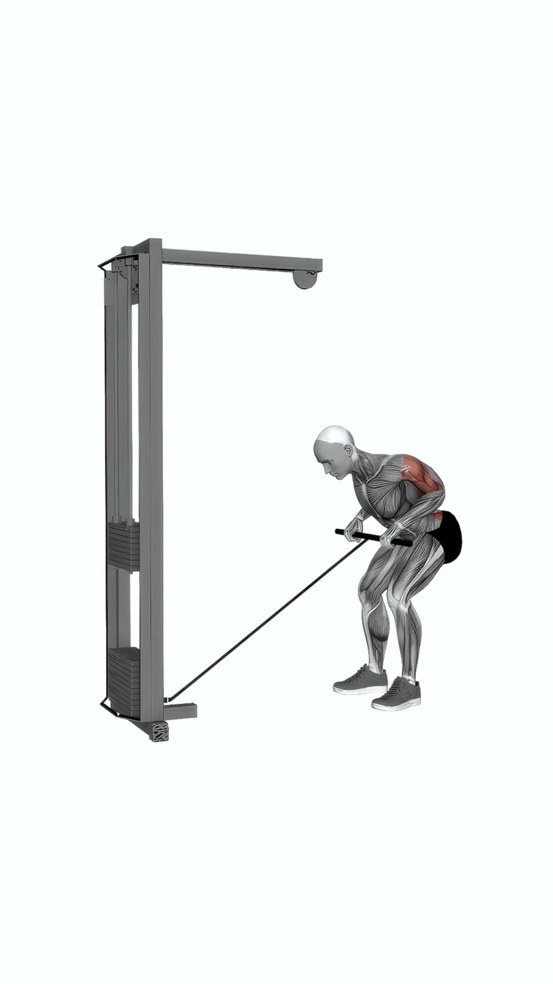 Cable Bent Over Row