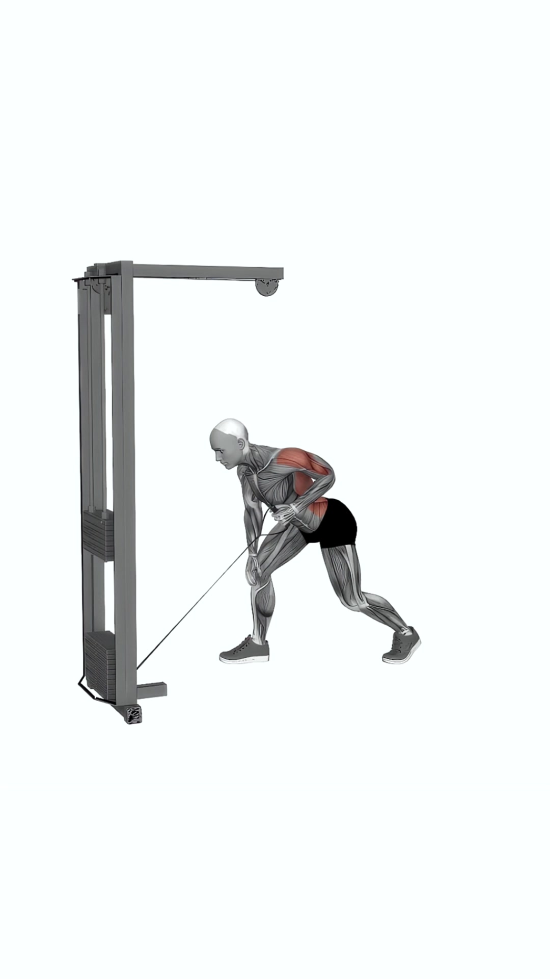 Cable One Arm Bent Over Row