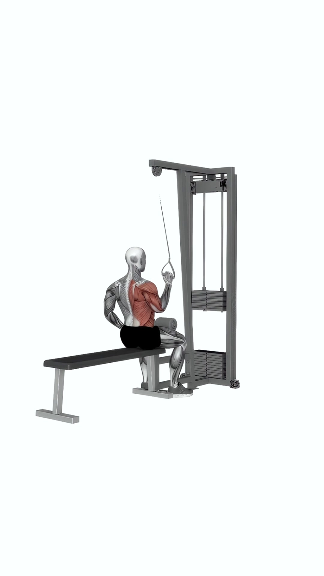 Cable One Arm Lat Pulldown