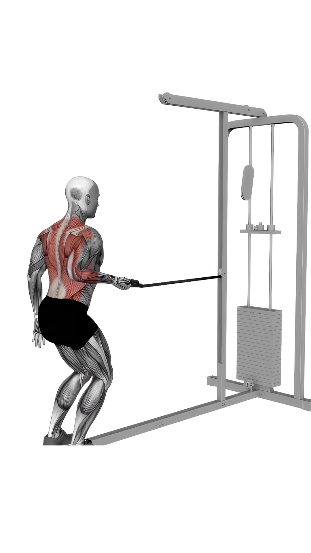 Cable Palm Rotational Row