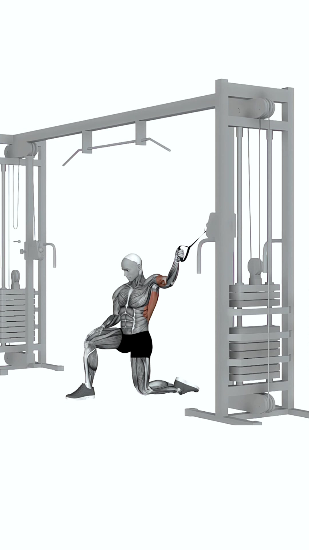 Cable Pull In Kneeling