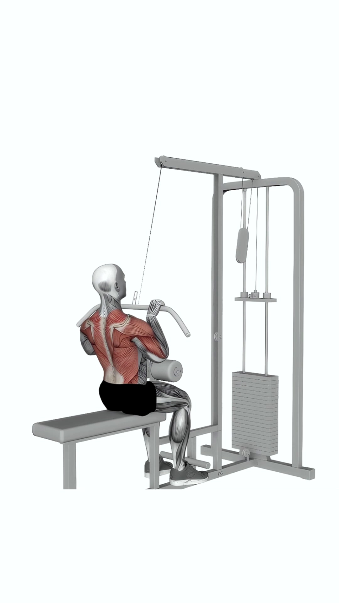 Cable Pulldown