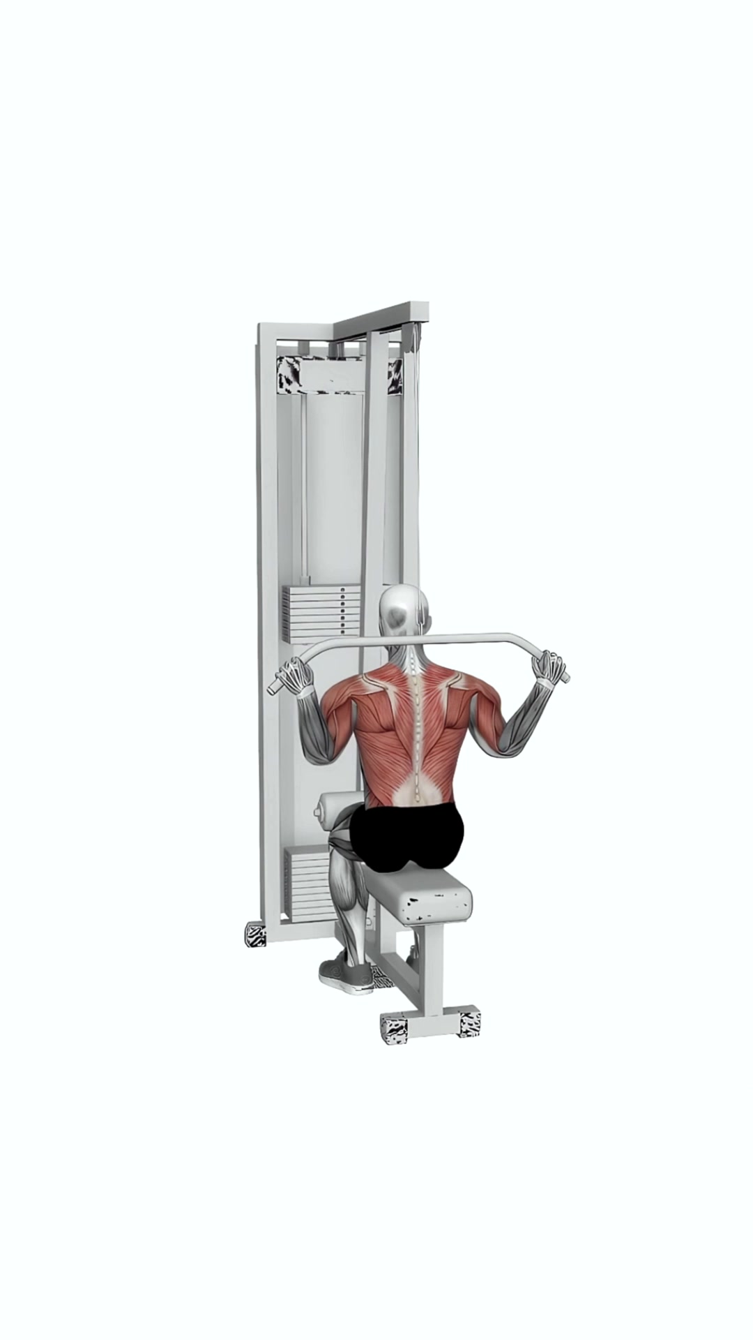 Cable Rear Pulldown