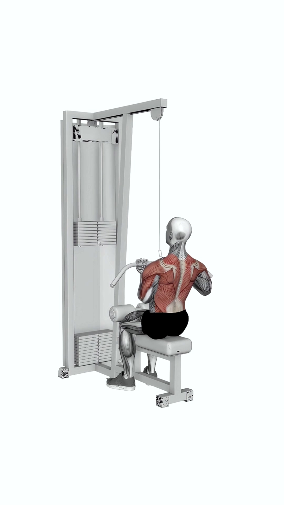 Cable Reverse Grip Straight Back Seated High Row