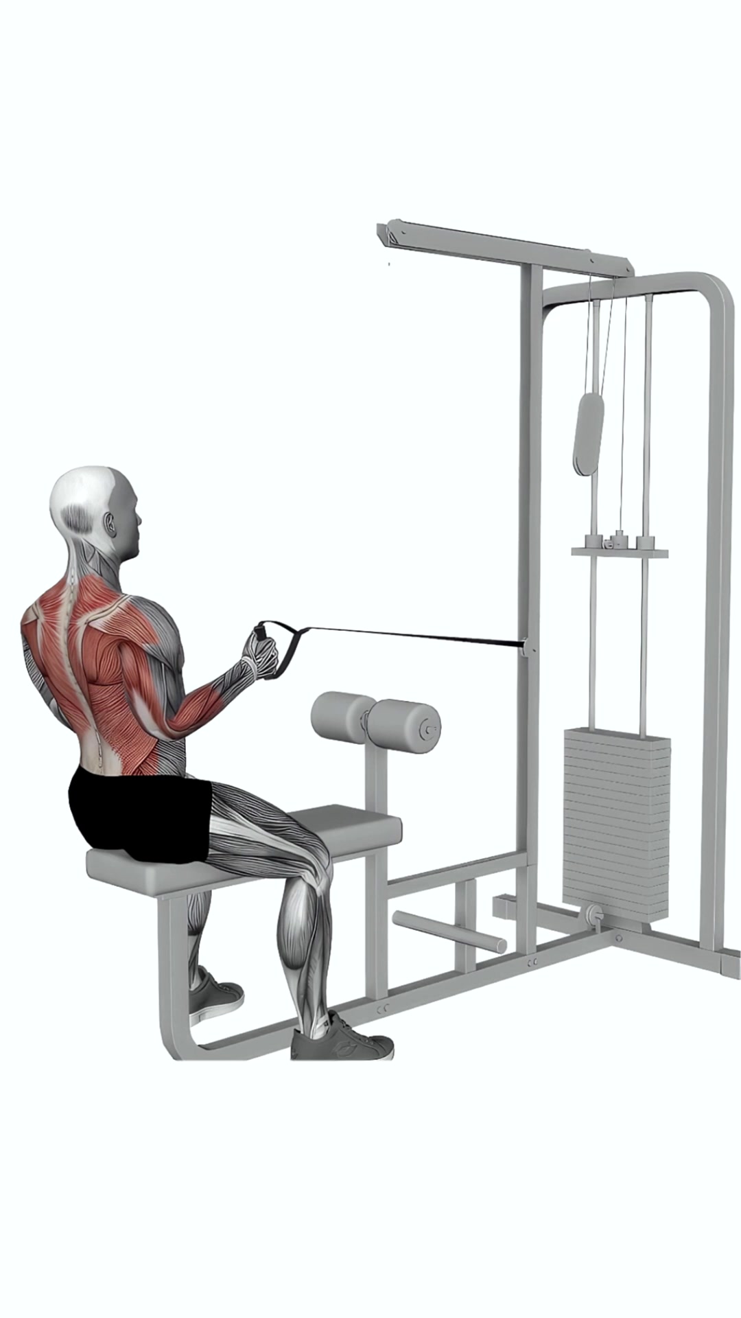 Cable Seated One Arm Alternate Row