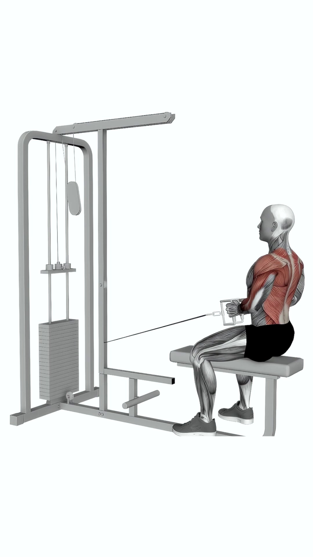 Cable Seated Row