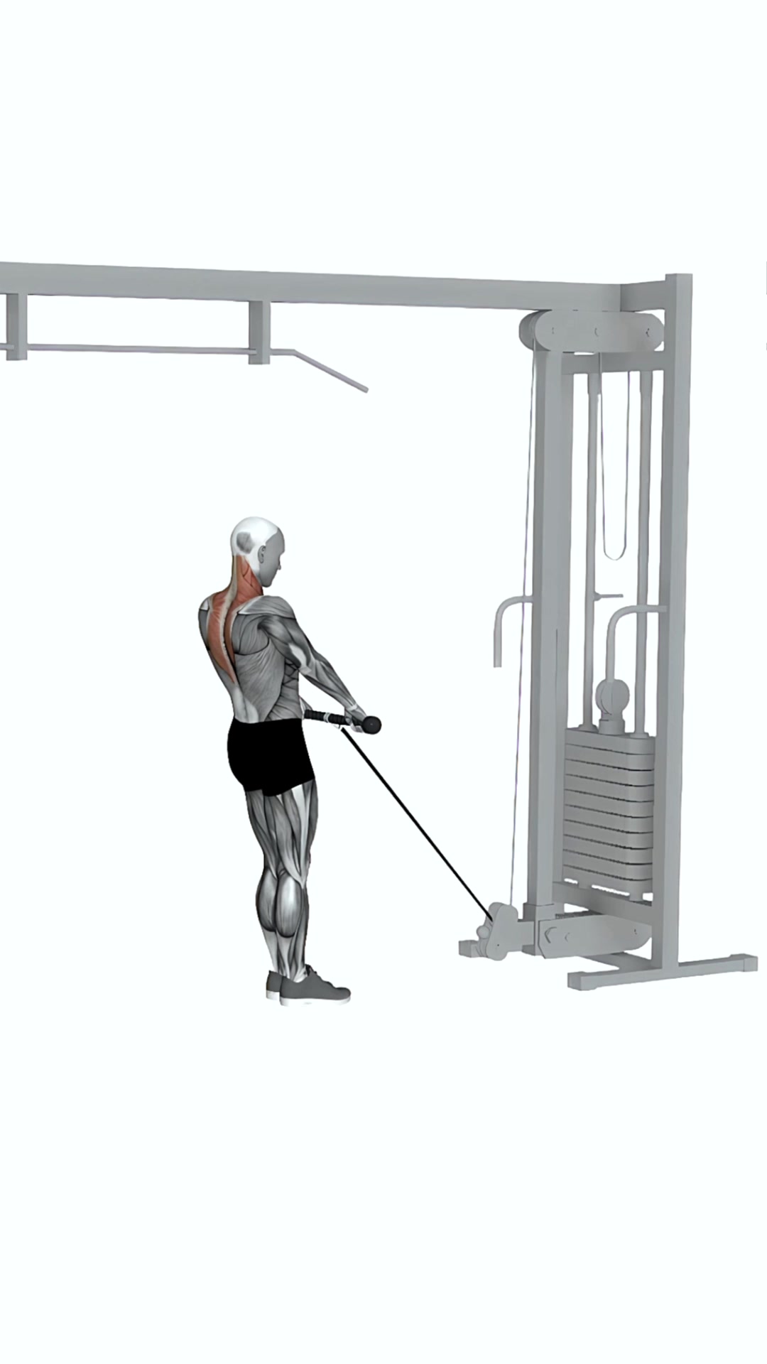 Cable Silverback Shrug