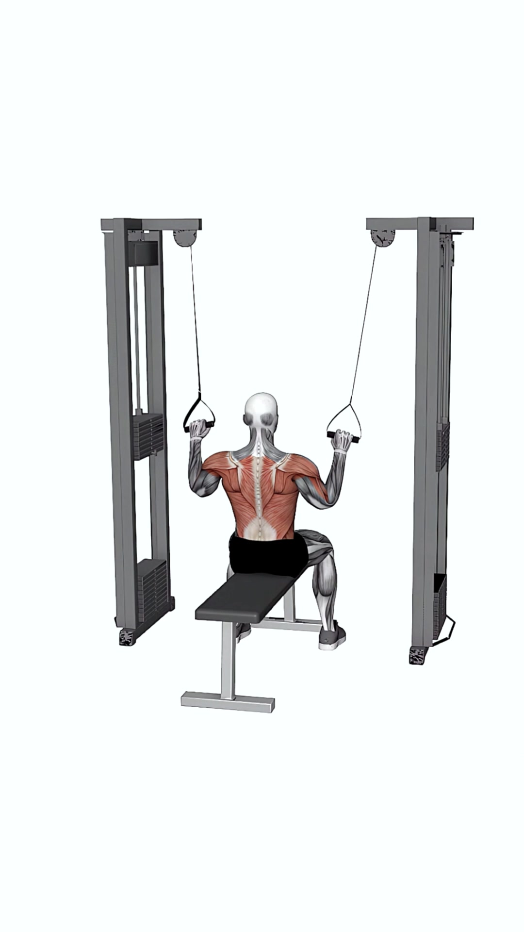 Cable Twin Handle Parallel Grip Lat Pulldown