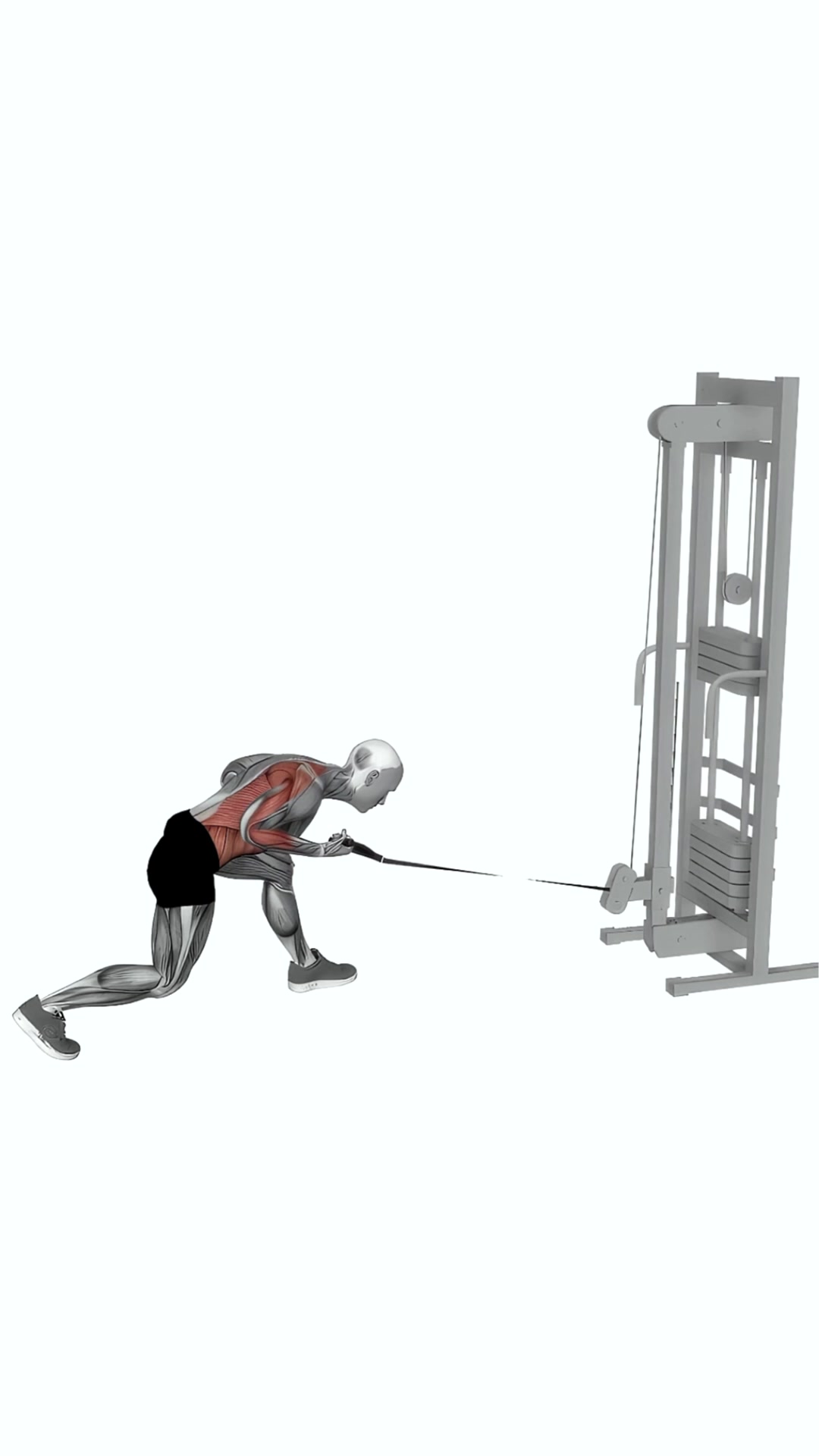 Cable Twisting Pull