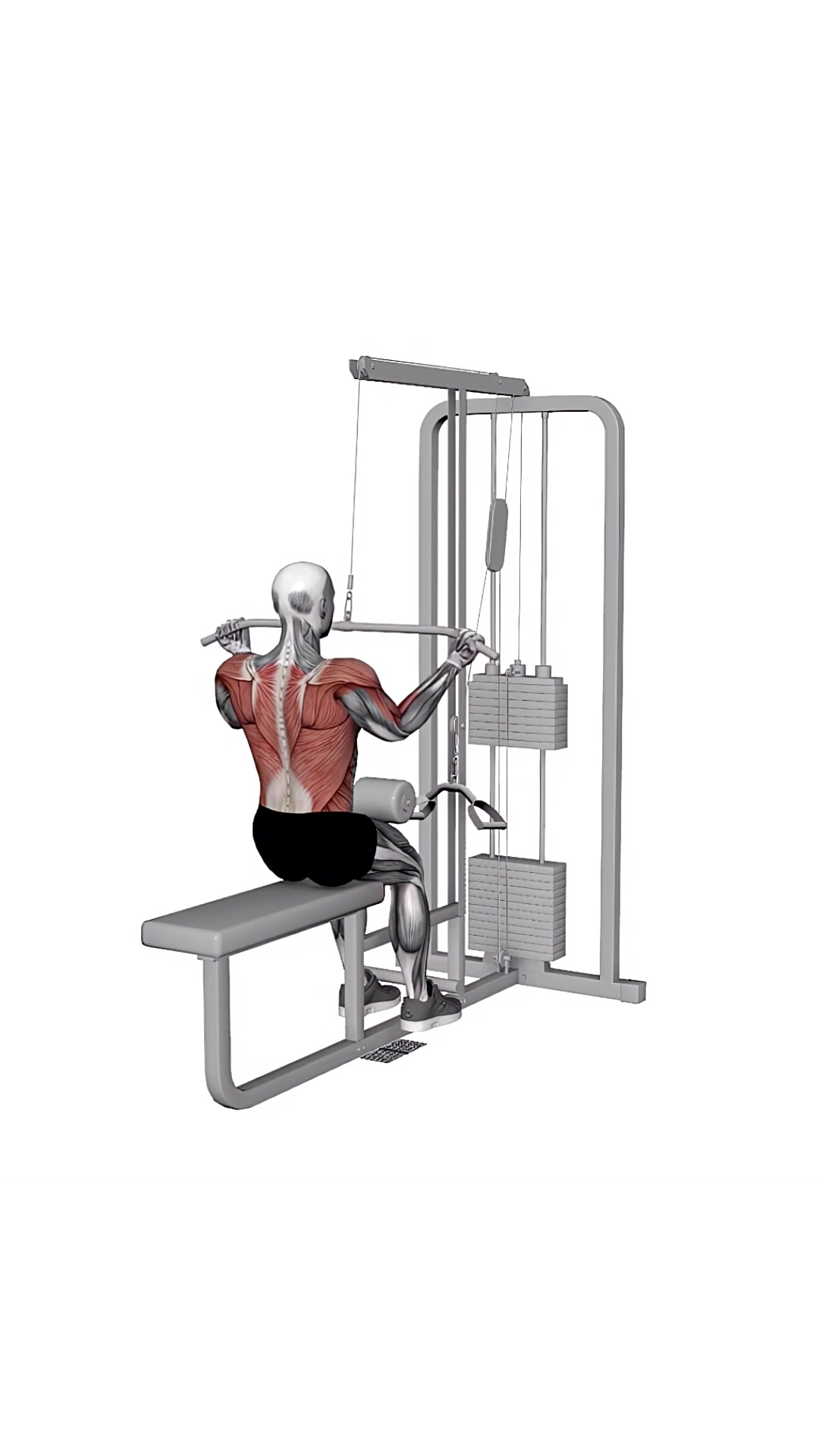 Cable Underhand Pulldown Wide Grips