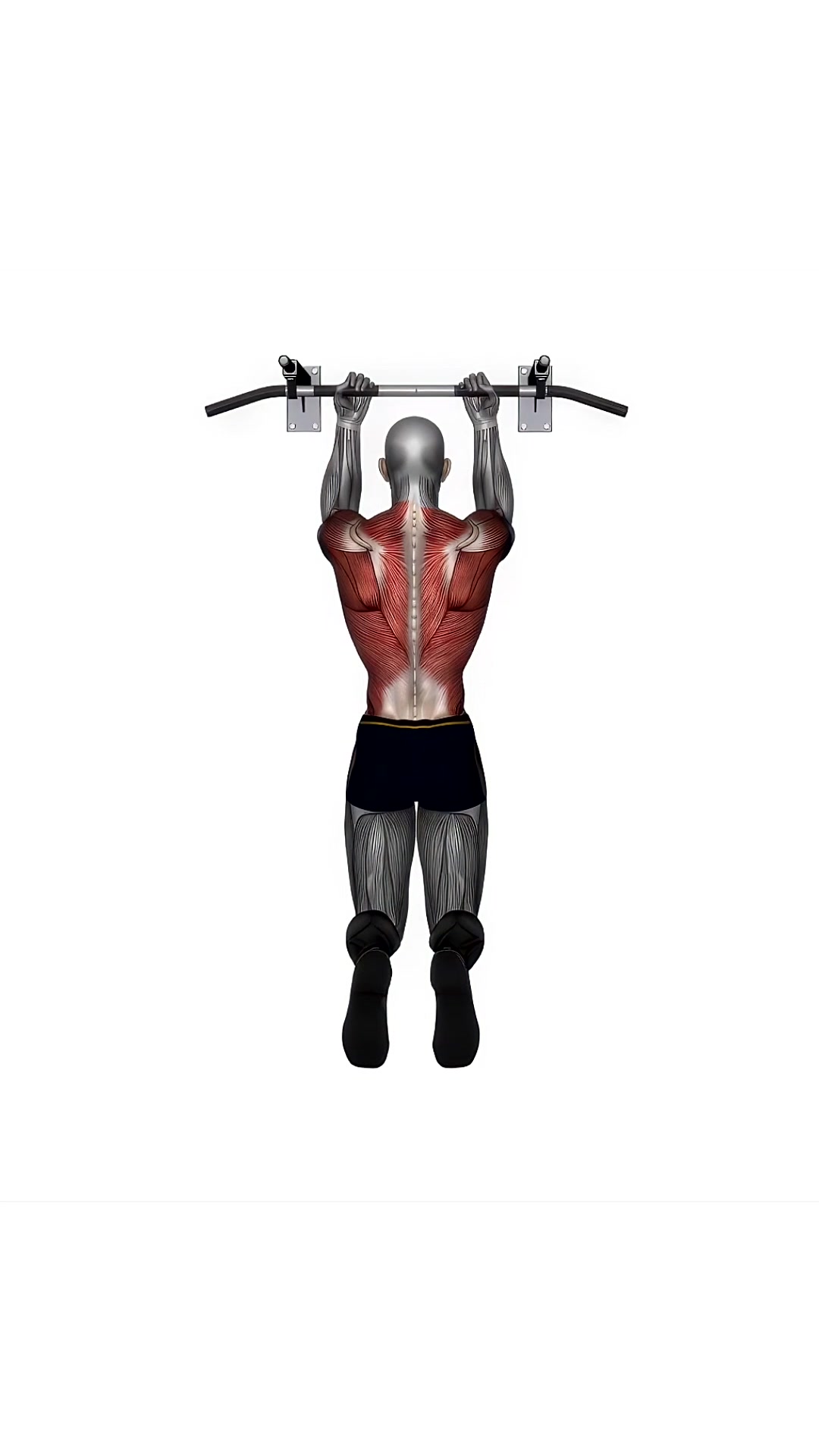 Chin Up Reverse Normal Grip