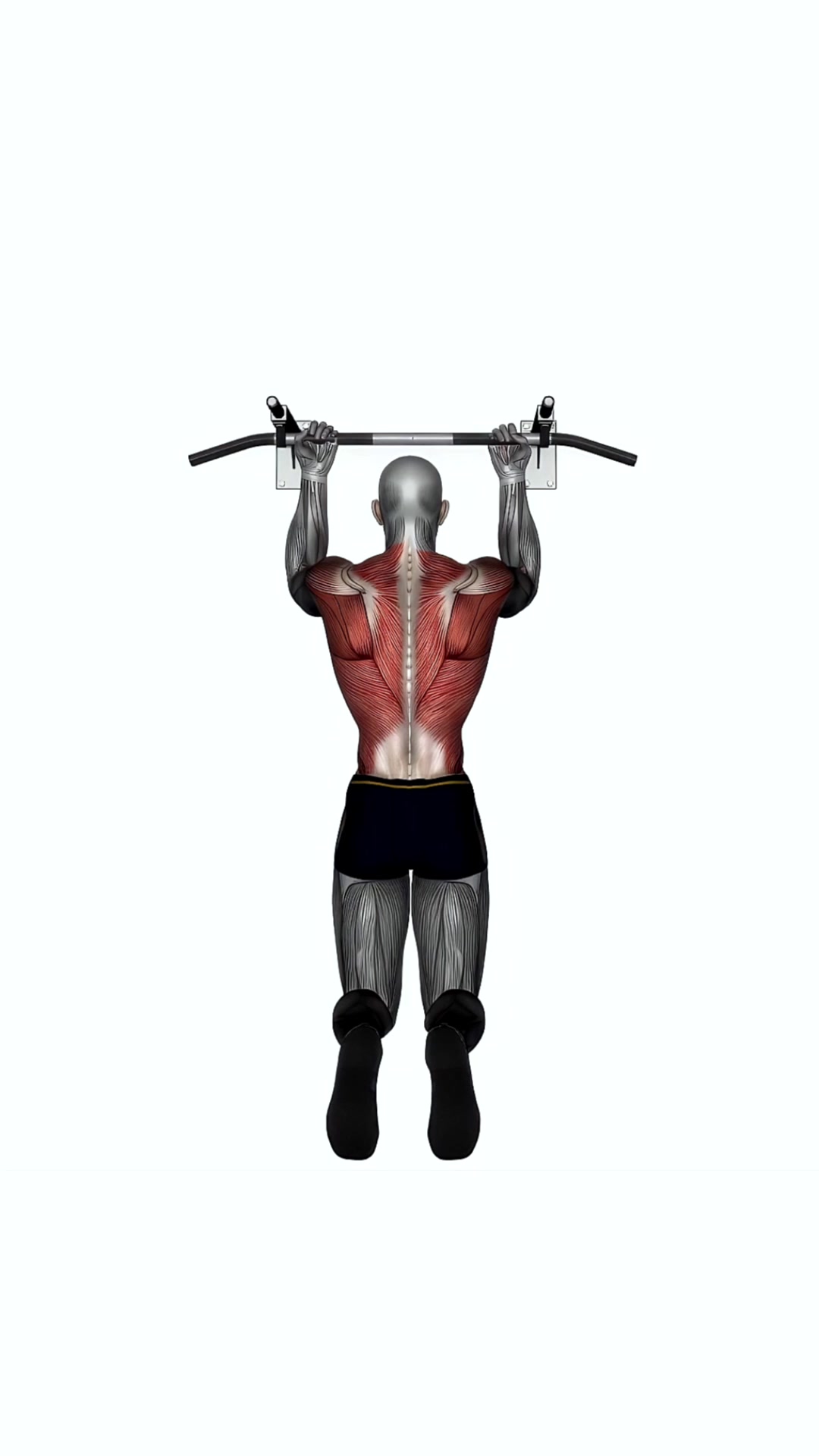 Chin Up Reverse Wide Grip