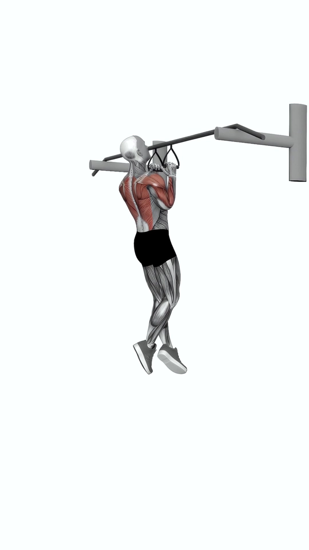 Chin Ups (narrow Parallel Grip)