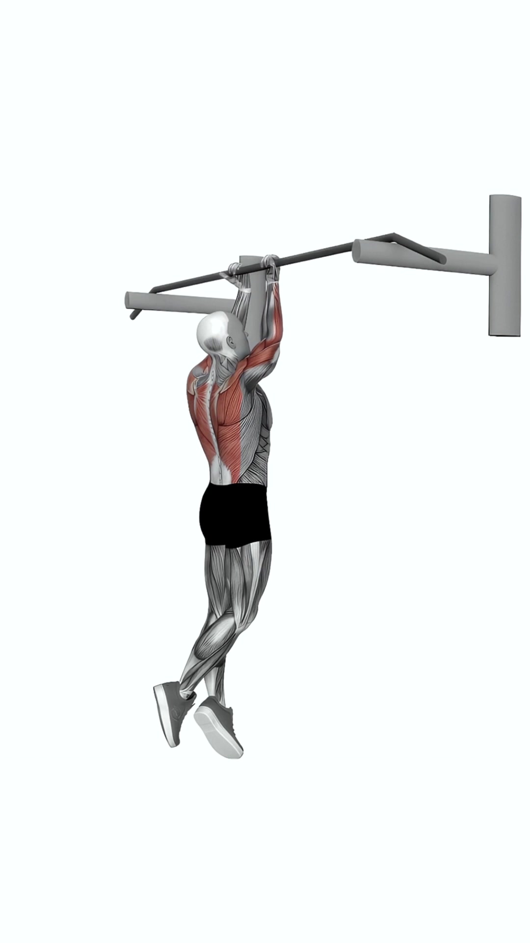 Close-reverse Grip Chin-up