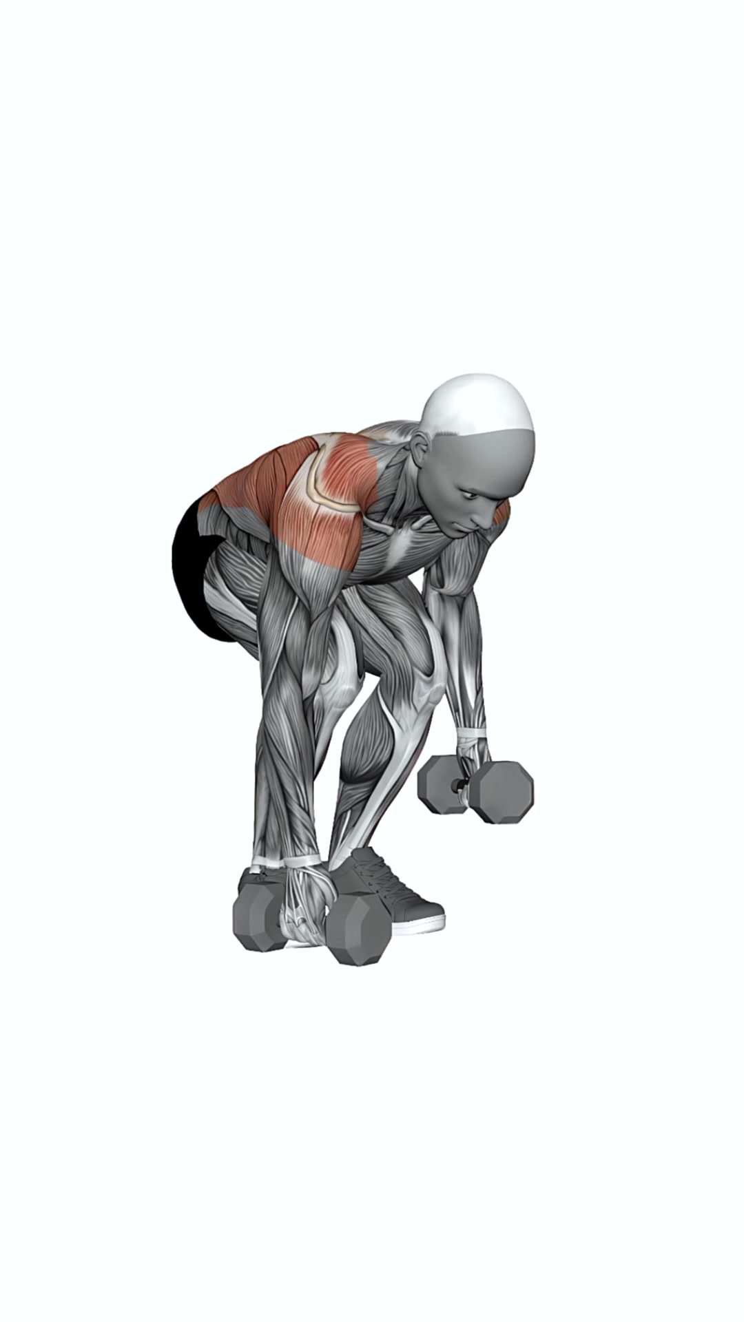 Dumbbell Alternating Pendlay Row