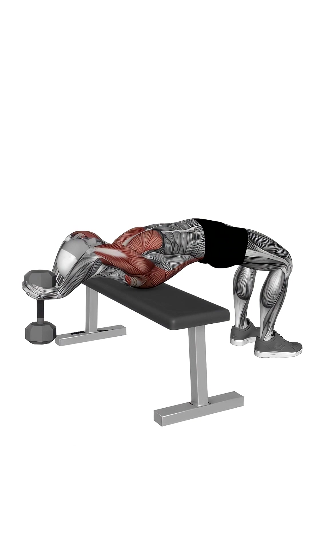 Dumbbell Bent Arm Pullover