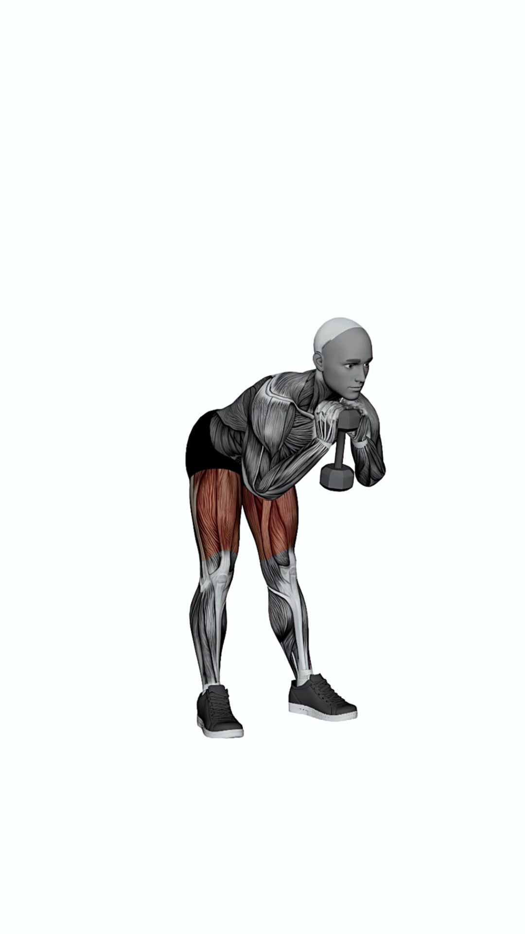 Dumbbell Goblet Good Morning