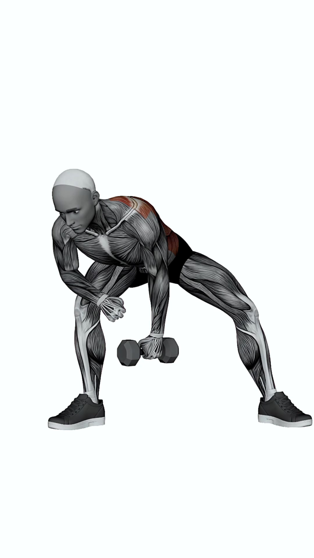 Dumbbell Knee Lawnmower Row