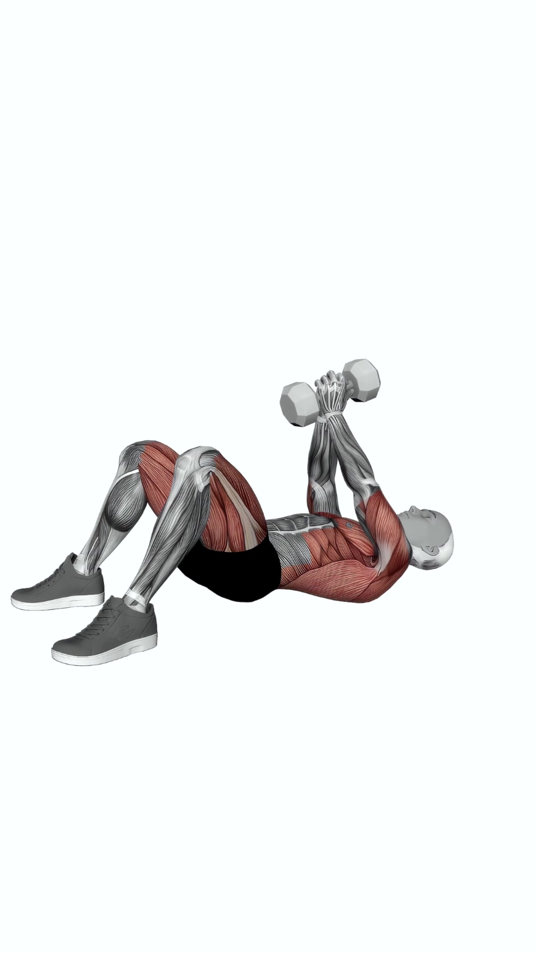 Dumbbell Pullover On Floor