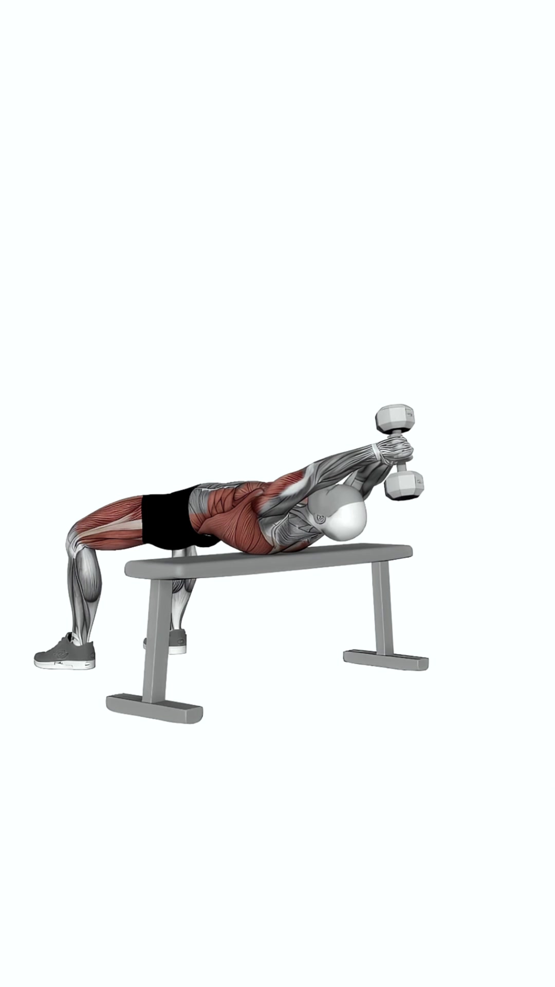 Dumbbell Pullover