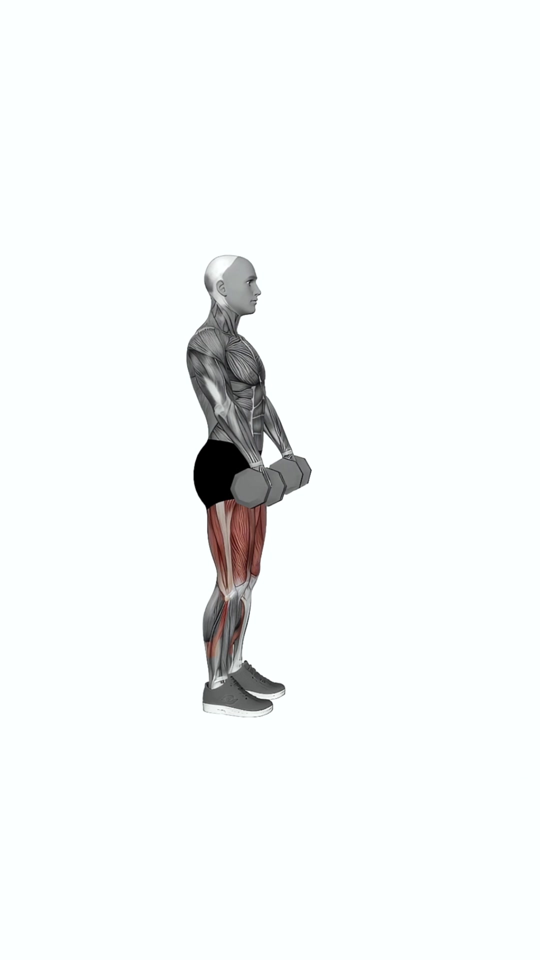 Dumbbell Romanian Deadlift