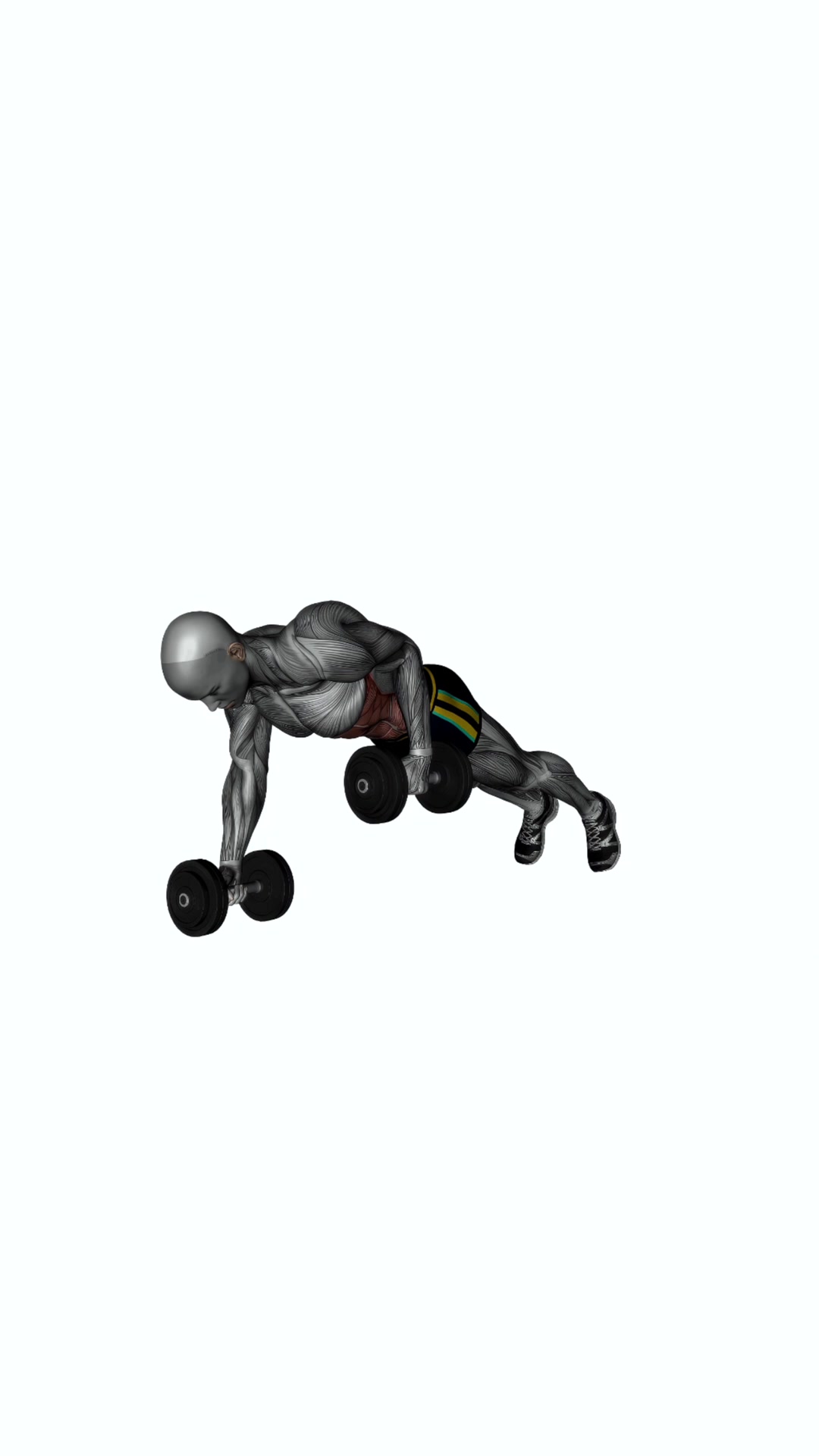 Dumbbells Plank To Alternating Row