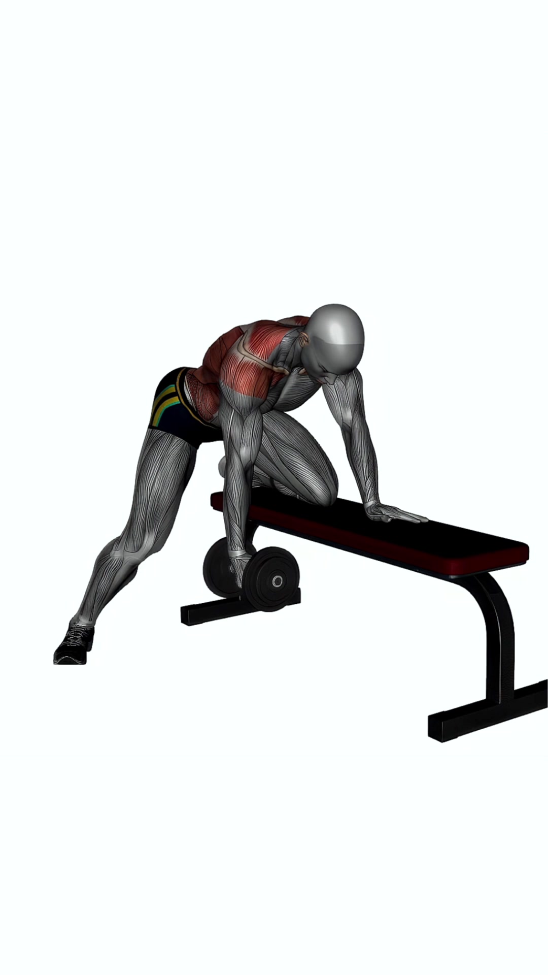 Dumbbells Single Arm Row