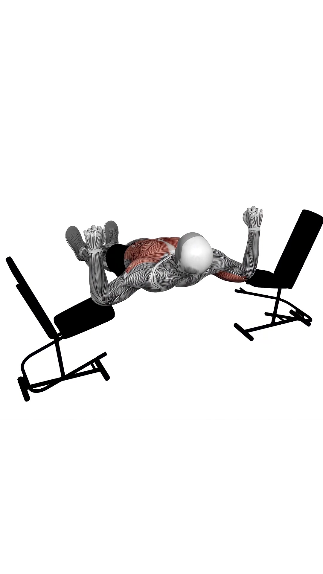 Elbow Lift Reverse Push Up