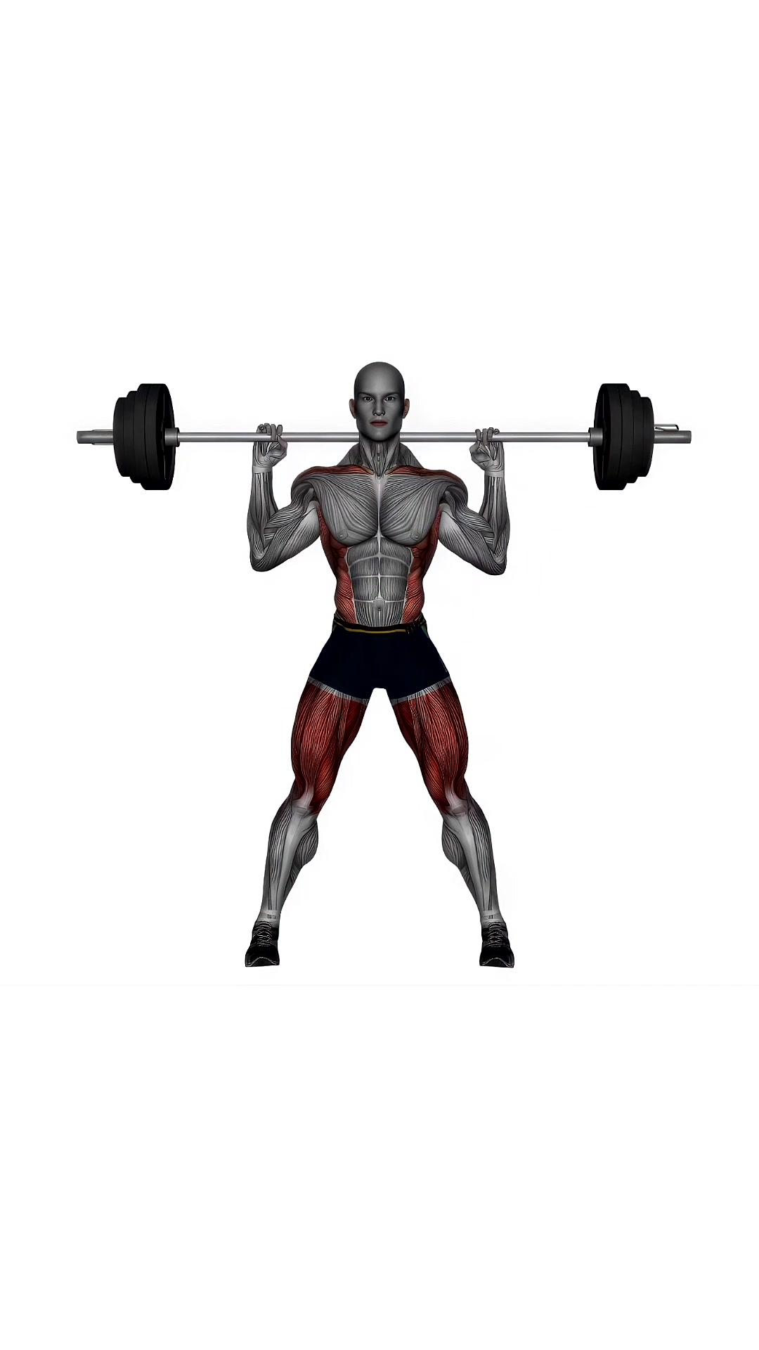 Good Mornings Barbell